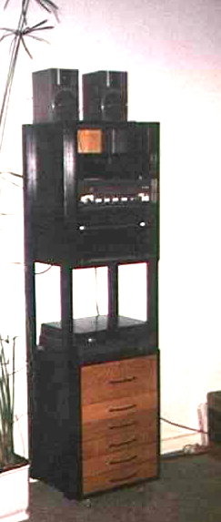 Phonom&ouml;bel in Esche schwarz