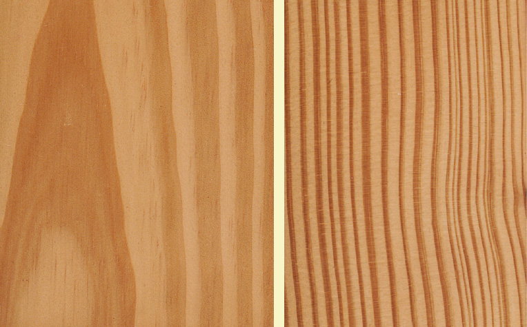 Carolina Pine